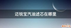 迈锐宝汽油滤芯在哪里
