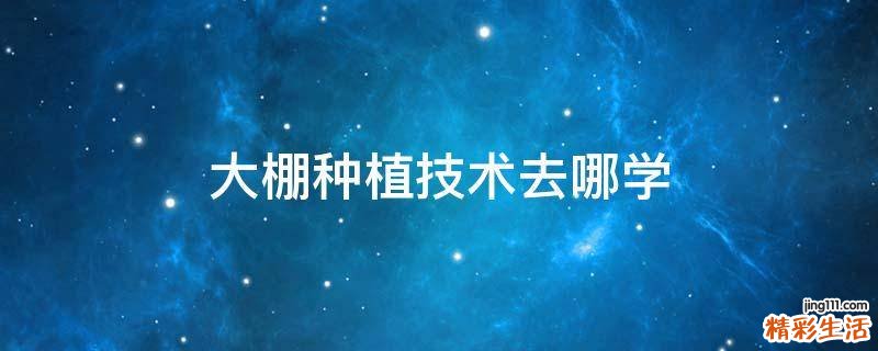 大棚种植技术去哪学