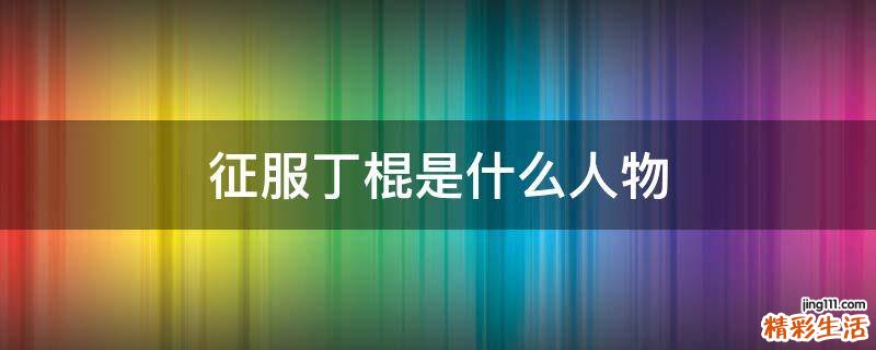 征服丁棍是什么人物