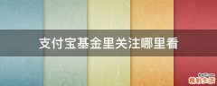 支付宝基金里关注哪里看