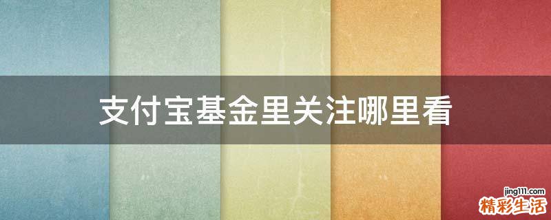 支付宝基金里关注哪里看