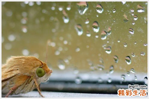 【如何改善黑头】 帮你提亮肤色