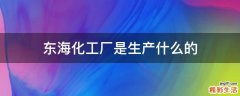 东海化工厂是生产什么的