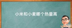 小米和小麦哪个热量高
