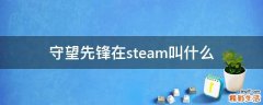 守望先锋在steam叫什么