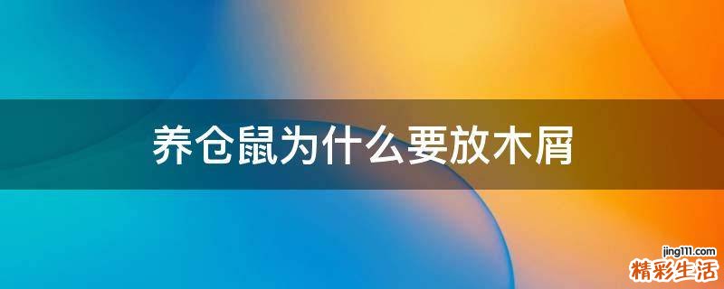 养仓鼠为什么要放木屑