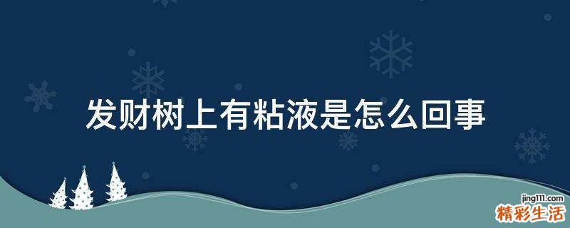 发财树上有粘液是怎么回事