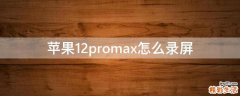 苹果12promax怎么录屏