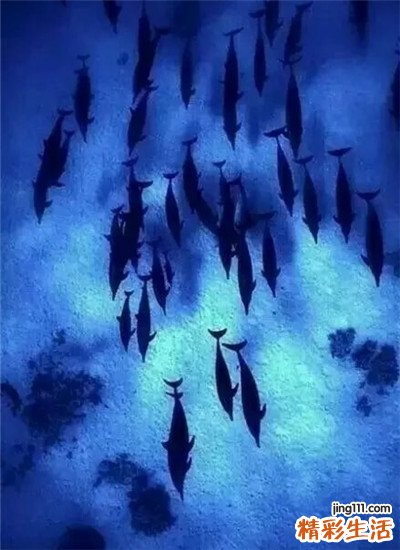 血流动力学障碍的原因_血流动力学障碍是怎么引起的