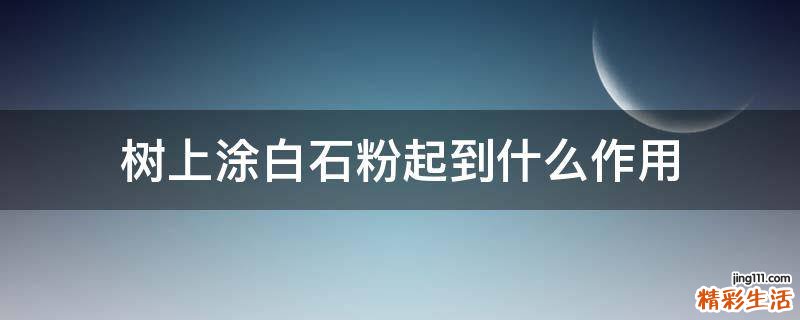 树上涂白石粉起到什么作用