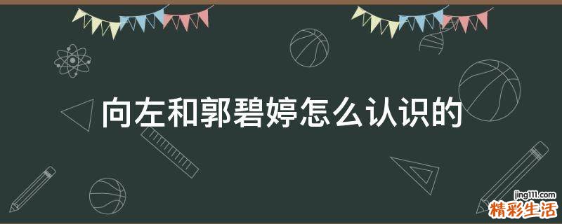 向左和郭碧婷怎么认识的