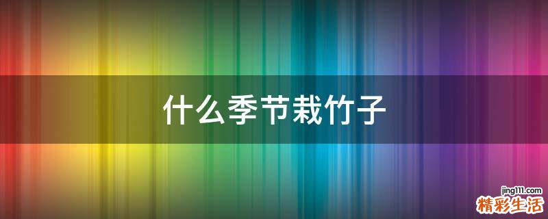 什么季节栽竹子