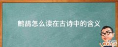 鹧鸪怎么读在古诗中的含义