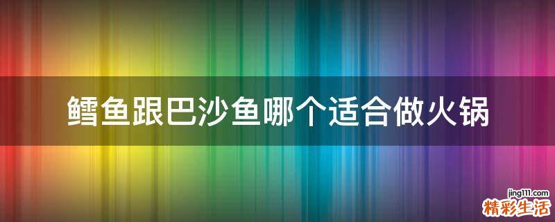 鳕鱼跟巴沙鱼哪个适合做火锅