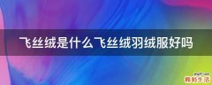 飞丝绒是什么飞丝绒羽绒服好吗