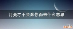 月亮才不会奔你而来什么意思