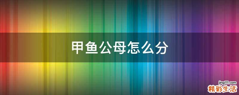 甲鱼公母怎么分
