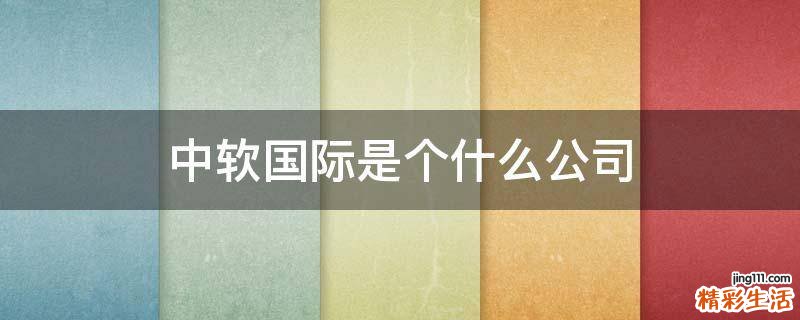 中软国际是个什么公司