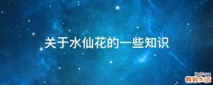 关于水仙花的一些知识