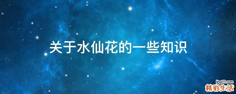 关于水仙花的一些知识