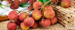 荔枝能带上飞机吗 荔枝带上飞机怎么保存比较好