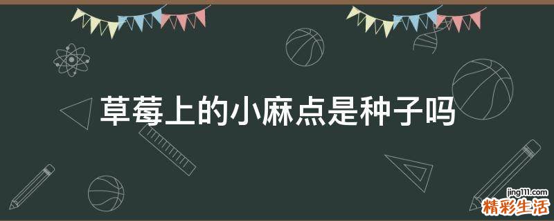草莓上的小麻点是种子吗