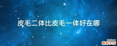皮毛二体比皮毛一体好在哪