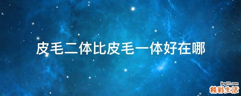 皮毛二体比皮毛一体好在哪