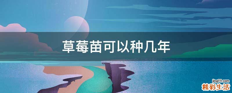 草莓苗可以种几年