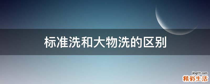 标准洗和大物洗的区别