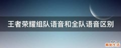 王者荣耀组队语音和全队语音区别