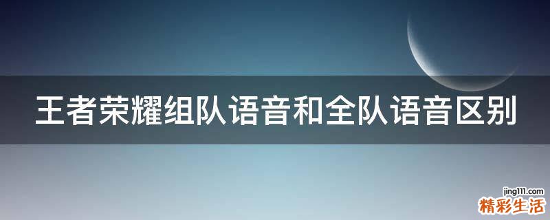 王者荣耀组队语音和全队语音区别