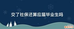 交了社保还算应届毕业生吗