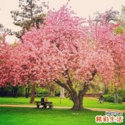 对小儿创伤的急救处理