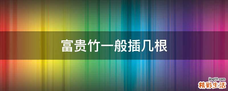 富贵竹一般插几根