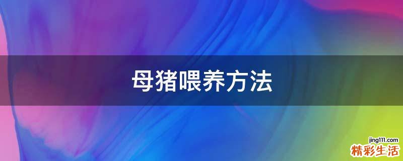 母猪喂养方法