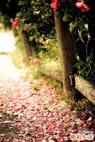 怎样去除鱼尾纹_去除鱼尾纹的方法