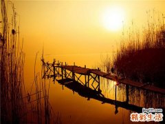 5 头发知识你知道多少？