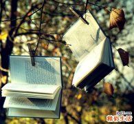 头发的生长周期