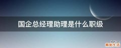 国企总经理助理是什么职级