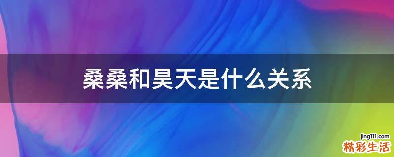 桑桑和昊天是什么关系