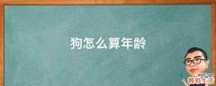 狗怎么算年龄