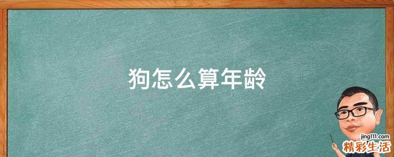 狗怎么算年龄