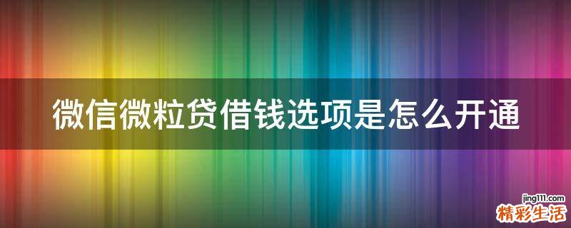 微信微粒贷借钱选项是怎么开通