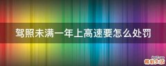 驾照未满一年上高速要怎么处罚