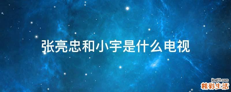 张亮忠和小宇是什么电视