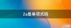 2a是单项式吗