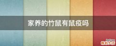 家养的竹鼠有鼠疫吗