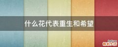 什么花代表重生和希望