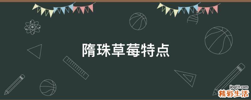 隋珠草莓特点